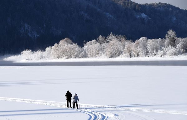 People on a ski walk in Russia's Krasnoyarsk region People on a ski walk in Russia's Krasnoyarsk region - Sputnik International