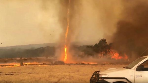 Fiery Twisters Ravage Australia’s Kangaroo Island - Sputnik International