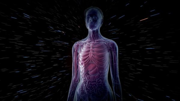 Human body - Sputnik International