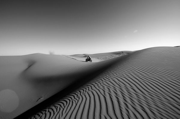 Sand, Heat, Roar of Engines: Best Moments of 2020 Dakar Rally in Saudi Arabia Sand, Heat, Roar of Engines: Best Moments of 2020 Dakar Rally in Saudi Arabia - Sputnik International