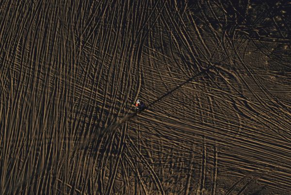 Sand, Heat, Roar of Engines: Best Moments of 2020 Dakar Rally in Saudi Arabia Sand, Heat, Roar of Engines: Best Moments of 2020 Dakar Rally in Saudi Arabia - Sputnik International