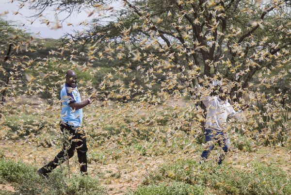 'It's War Out Here': Riots Sweep Africa as COVID-19 Fallout Triggers Food Shortages 'It's War Out Here': Riots Sweep Africa as COVID-19 Fallout Triggers Food Shortages - Sputnik International