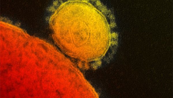 MERS coronavirus - Sputnik International