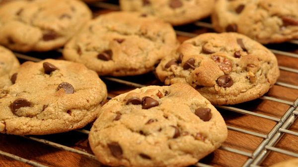 Chocolate chip cookies on a bake tray. - Sputnik International