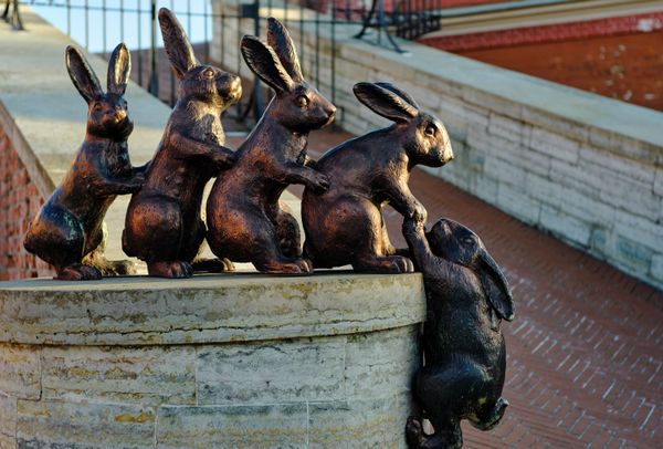Russia's Venice: Breathtaking Views of St. Petersburg - Sputnik International