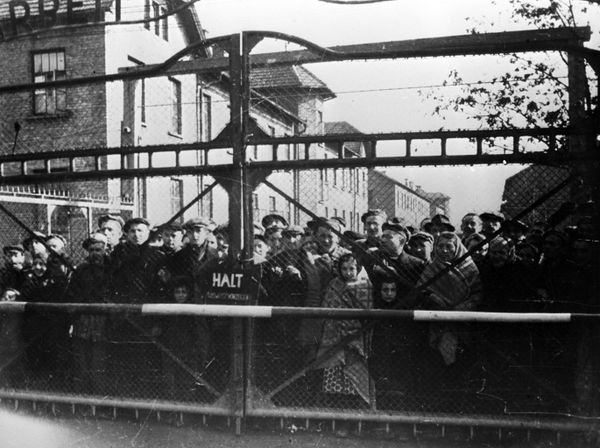 Rescued From Hell: 75th Anniversary of Auschwitz Liberation by Soviet Army Rescued From Hell: 75th Anniversary of Auschwitz Liberation by Soviet Army - Sputnik International