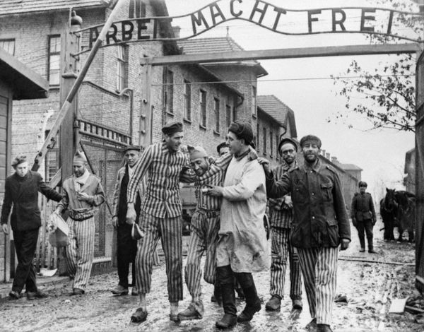 Rescued From Hell: 75th Anniversary of Auschwitz Liberation by Soviet Army Rescued From Hell: 75th Anniversary of Auschwitz Liberation by Soviet Army - Sputnik International
