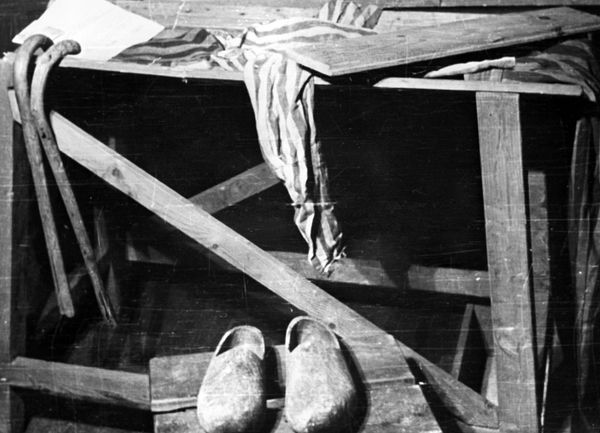 Rescued From Hell: 75th Anniversary of Auschwitz Liberation by Soviet Army Rescued From Hell: 75th Anniversary of Auschwitz Liberation by Soviet Army - Sputnik International