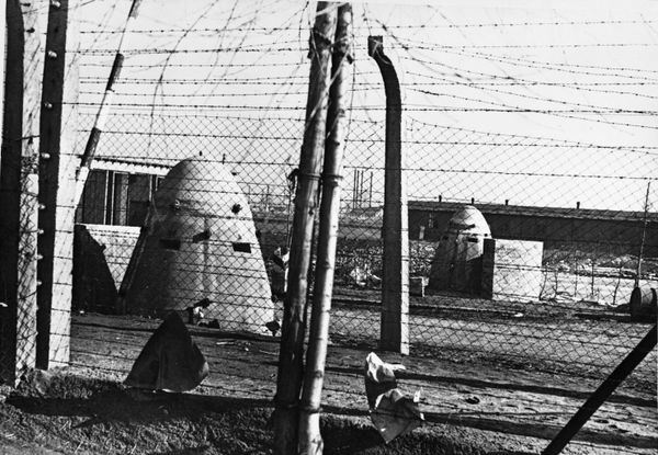 Rescued From Hell: 75th Anniversary of Auschwitz Liberation by Soviet Army Rescued From Hell: 75th Anniversary of Auschwitz Liberation by Soviet Army - Sputnik International