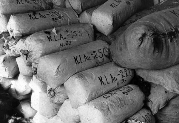 Rescued From Hell: 75th Anniversary of Auschwitz Liberation by Soviet Army Rescued From Hell: 75th Anniversary of Auschwitz Liberation by Soviet Army - Sputnik International