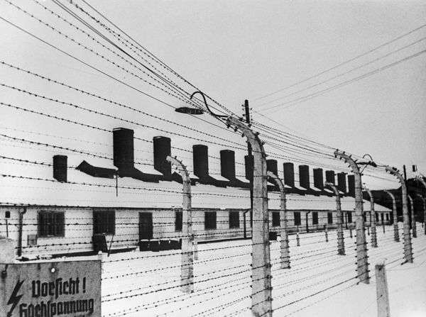 Rescued From Hell: 75th Anniversary of Auschwitz Liberation by Soviet Army Rescued From Hell: 75th Anniversary of Auschwitz Liberation by Soviet Army - Sputnik International