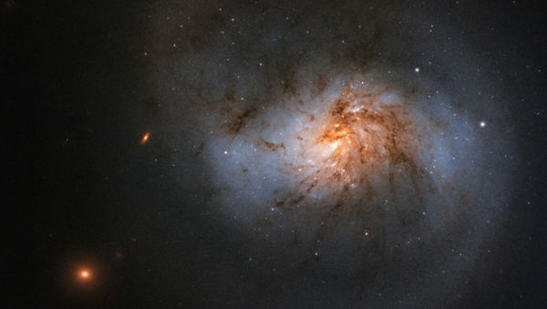 NASA's Hubble Space Telescope snaps image of NGC 1022, a barred spiral galaxy located in the constellation Cetus. - Sputnik International