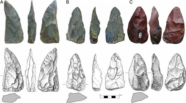 Ancient Stone Tools Found in Siberian Cave Turn Accepted Theories About Neanderthals on Their Head Ancient Stone Tools Found in Siberian Cave Turn Accepted Theories About Neanderthals on Their Head - Sputnik International