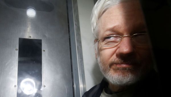 WikiLeaks' founder Julian Assange leaves Westminster Magistrates Court in London, Britain January 13, 2020. REUTERS/Henry Nicholls WikiLeaks' founder Julian Assange leaves Westminster Magistrates Court in London, Britain January 13, 2020. REUTERS/Henry Nicholls - Sputnik International
