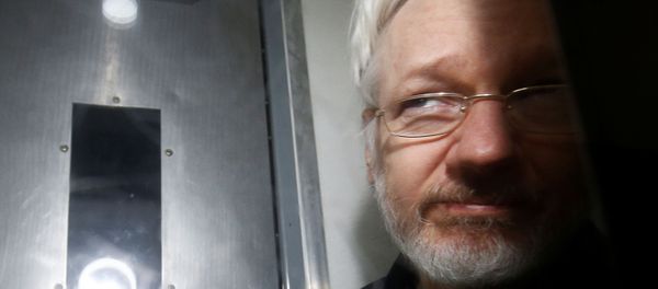 WikiLeaks' founder Julian Assange leaves Westminster Magistrates Court in London, Britain January 13, 2020. REUTERS/Henry Nicholls WikiLeaks' founder Julian Assange leaves Westminster Magistrates Court in London, Britain January 13, 2020. REUTERS/Henry Nicholls - Sputnik International