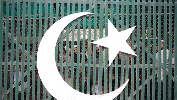 People are seen behind a gate depicting Pakistan's national flag in a queue to cross into Afghanistan at the border post in Torkham, Pakistan, 3 December 2019.  - Sputnik International