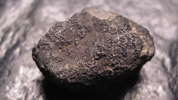 Allende meteorite - Sputnik International
