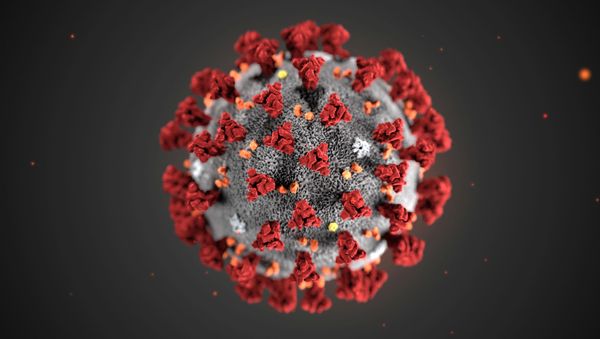 The ultrastructural morphology exhibited by the 2019 Novel Coronavirus (2019-nCoV), which was identified as the cause of an outbreak of respiratory illness first detected in Wuhan, China, is seen in an illustration released by the Centers for Disease Control and Prevention (CDC) in Atlanta, Georgia, U.S. January 29, 2020 - Sputnik International