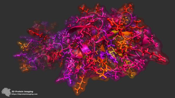  This is a molecular illustration of a 2019 novel Coronavirus comparative model - Sputnik International