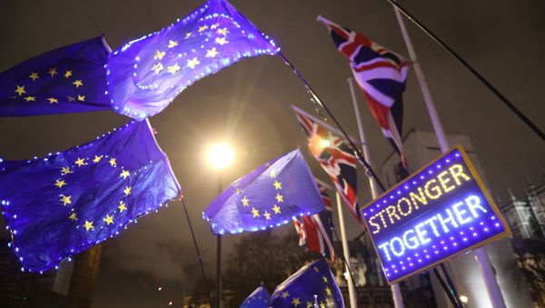 Anti-Brexit protesters holding a banner and flags demonstrate outside the Houses of Parliament in London, Britain 30 January 2020. Anti-Brexit protesters holding a banner and flags demonstrate outside the Houses of Parliament in London, Britain 30 January 2020. - Sputnik International