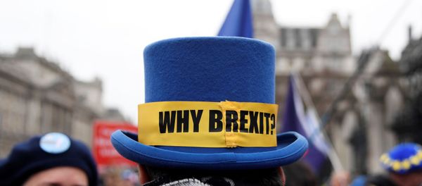 An anti-Brexit protester wearing a hat demonstrates outside the Houses of Parliament in London, Britain January 30, 2020. An anti-Brexit protester wearing a hat demonstrates outside the Houses of Parliament in London, Britain January 30, 2020. - Sputnik International