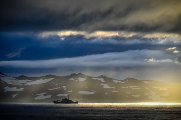 The Admiral Vladimirsky research vessel on its way from Montevideo to Antarctica - Sputnik International