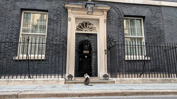 Larry the cat outside 10 Downing St. - Sputnik International