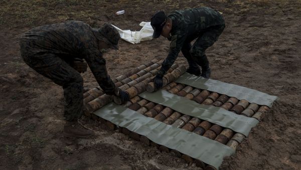U.S. Marine Corps Staff Sgt. Kevin Syphanthavong and a Royal Thai explosive ordnance disposal technician stage old anti-personnel mines for detonation on an explosives range in the Kingdom of Thailand during Cobra Gold 19 Feb. 18, 2019. U.S. Marines assist the Royal Thai Armed Forces in teaching explosive ordnance disposal courses and disposing landmines. Syphanthavong, an EOD technician with 3rd EOD Company, 9th Engineer Support Battalion, is a native of Lynn, Massachussettes.  - Sputnik International