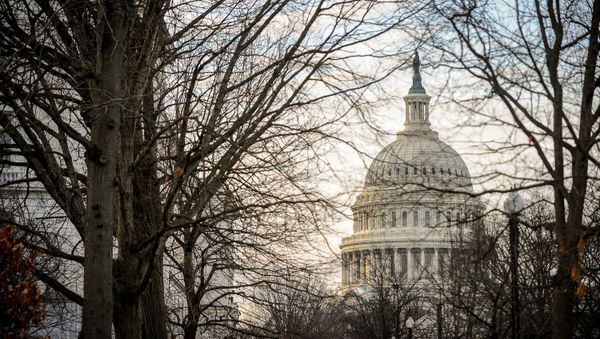 The dome of the U.S. Capitol - Sputnik International