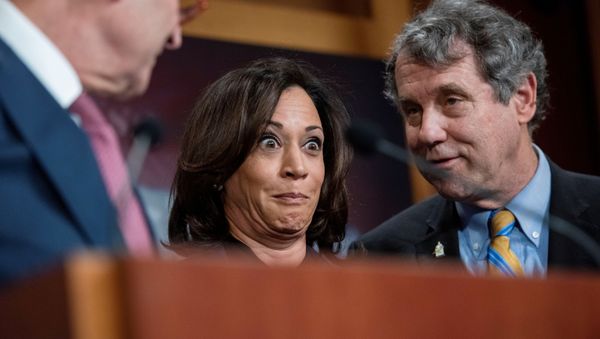 Senate Minority Leader Chuck Schumer (D-NY), Senator Kamala Harris (D-CA), and Senator Sherrod Brown (D-OH), take part in a news conference with democrats at the U.S. Capitol before the start of U.S. President Donald Trump's Senate impeachment trial in Washington, U.S., January 31, 2020 - Sputnik International