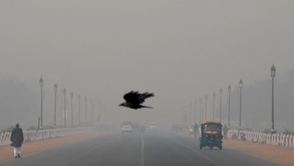 FILE PHOTO: A bird flies amidst smog near India's Presidential Palace in New Delhi, India, November 13, 2019. FILE PHOTO: A bird flies amidst smog near India's Presidential Palace in New Delhi, India, November 13, 2019. - Sputnik International