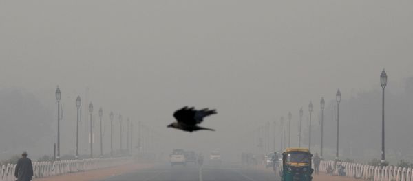 FILE PHOTO: A bird flies amidst smog near India's Presidential Palace in New Delhi, India, November 13, 2019.  - Sputnik International