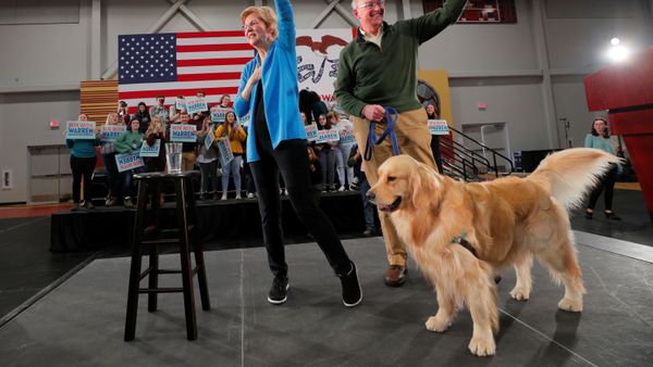 Democratic 2020 U.S. presidential candidate and U.S. Senator Elizabeth Warren - Sputnik International