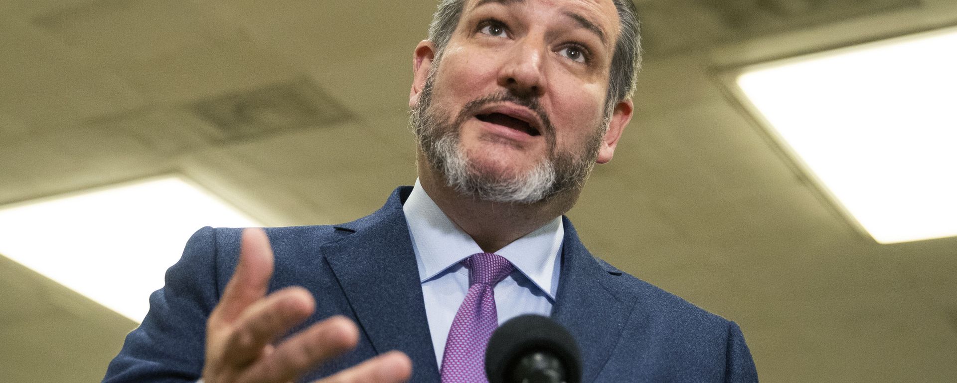 Sen. Ted Cruz, R-Texas Sen. Ted Cruz, R-Texas - Sputnik International, 1920, 18.02.2021