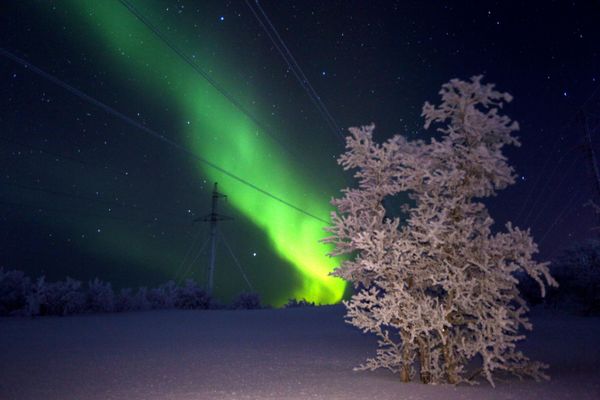 The northern lights in Murmansk Region, Russia. The northern lights in Murmansk Region, Russia. - Sputnik International