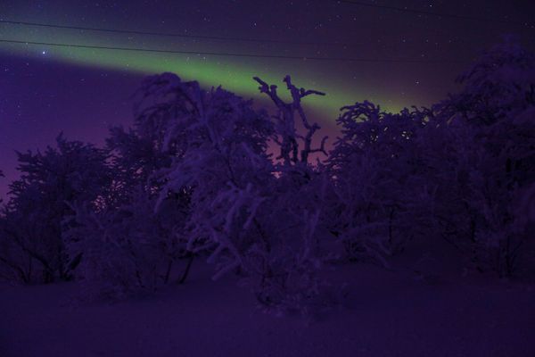 The northern lights in the Murmansk Oblast, Russia The northern lights in the Murmansk Oblast, Russia - Sputnik International