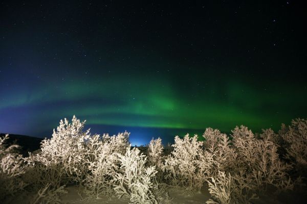 The northern lights in Murmansk Region, Russia. The northern lights in Murmansk Region, Russia. - Sputnik International