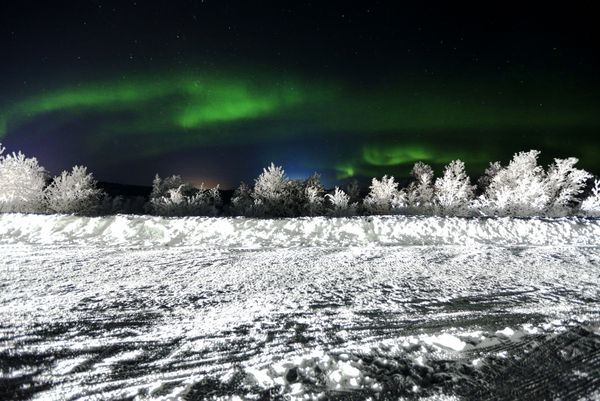 The northern lights in Murmansk Region, Russia. The northern lights in Murmansk Region, Russia. - Sputnik International
