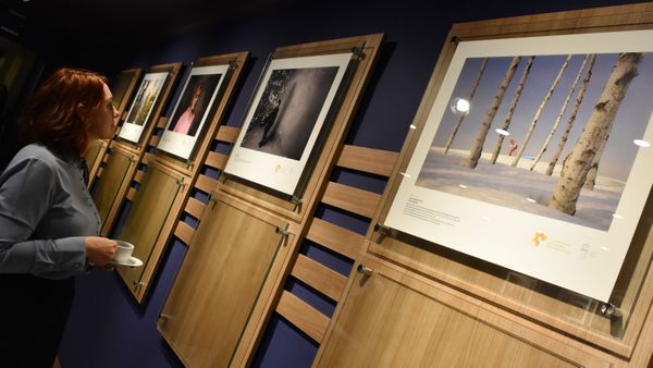 2020 Andrei Stenin International Press Photo Contest in Ankara - Sputnik International