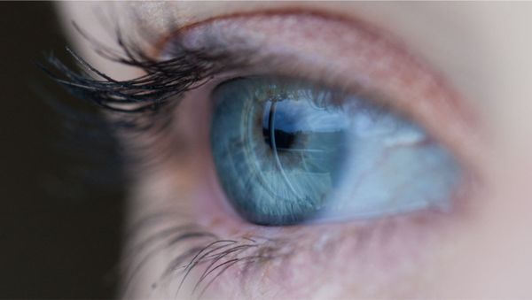 Eye  - Sputnik International