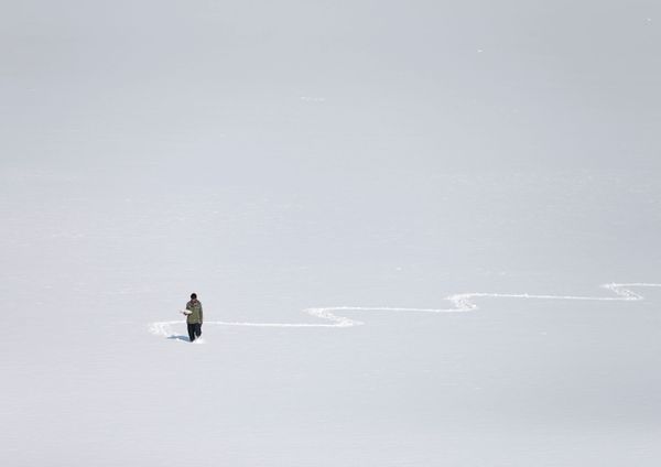 This Week in Pictures: 1-7 February - Sputnik International