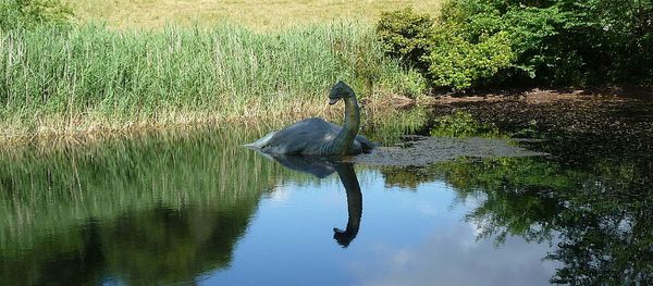 Loch Ness Monster Loch Ness Monster - Sputnik International