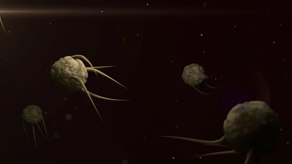 Virus - Sputnik International