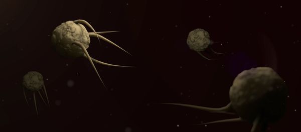 Virus Virus - Sputnik International