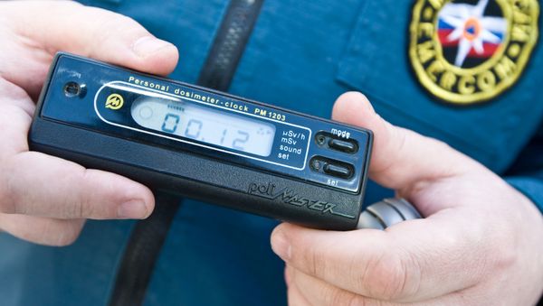 A dose rate meter for checking radiation - Sputnik International