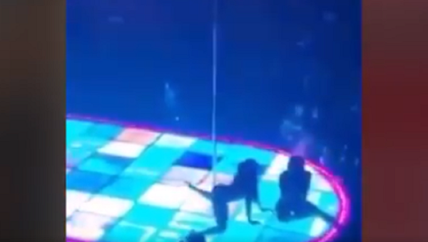 US Stripper Falls From 15-Foot Pole, Twerks Despite Injuries - Sputnik International