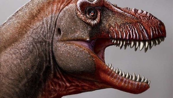 Thanatotheristes degrootorum - 'reaper of death' tyrannosaur - seen in this artist's impression, is the first new tyrannosaur species named in Canada in 50 years. - Sputnik International