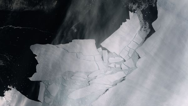The Pine Island Glacier recently spawned an iceberg over 300 sq km that very quickly shattered into pieces. This almost cloud-free image, captured on 11 February by the Copernicus Sentinel-2 mission, shows the freshly broken bergs in detail. - Sputnik International