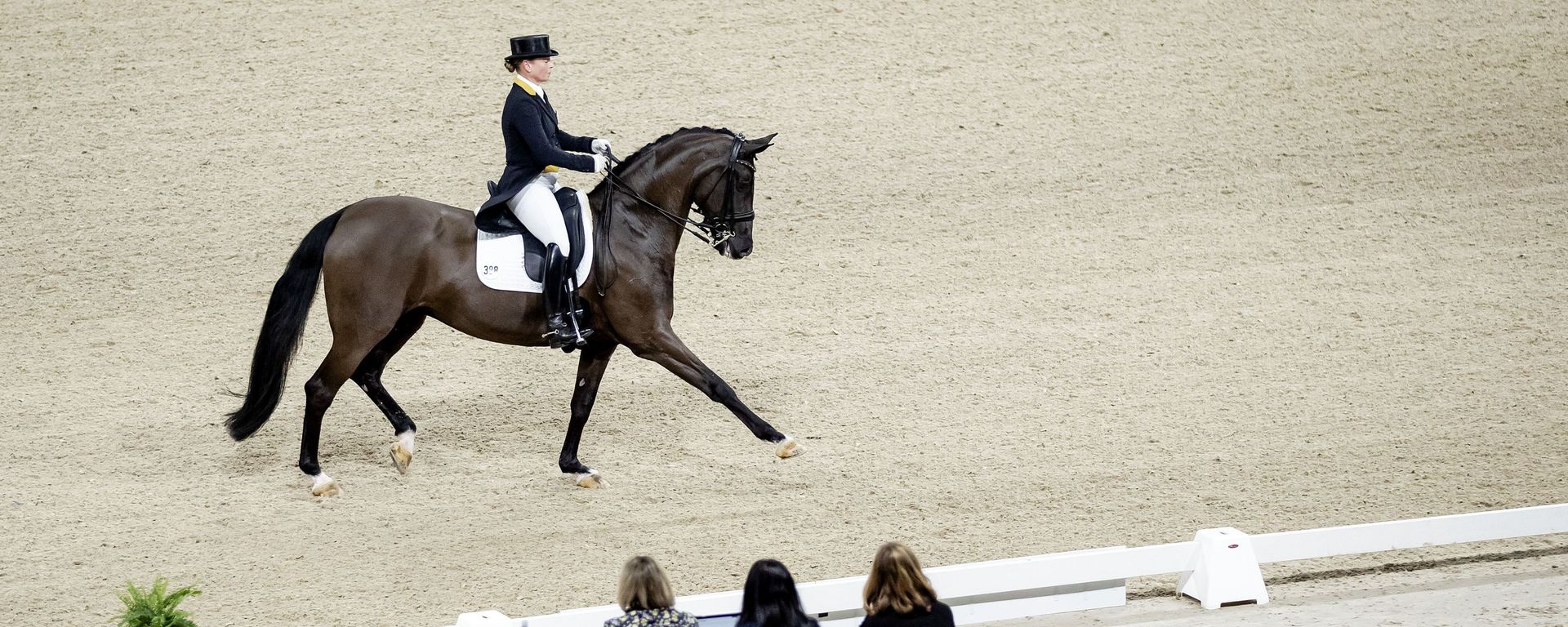 German equestrian Isabell Werth competes during the FEI Dressage World Cup at Jumping Amsterdam in the RAI on 24 January 2020 German equestrian Isabell Werth competes during the FEI Dressage World Cup at Jumping Amsterdam in the RAI on 24 January 2020 - Sputnik International, 1920, 14.02.2020