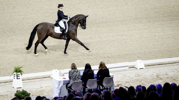 German equestrian Isabell Werth competes during the FEI Dressage World Cup at Jumping Amsterdam in the RAI on 24 January 2020 - Sputnik International
